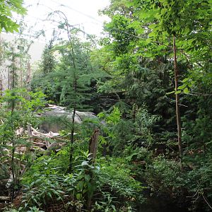 Canadian Maple Forest Hall - June 2016