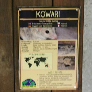 Sign Kowari