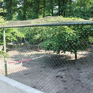 White-necked crane enclosure