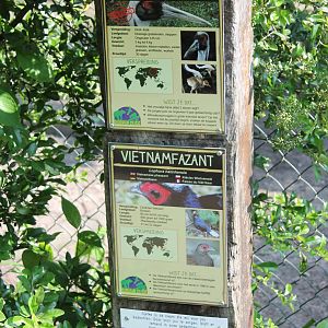 Crane and pheasant signs