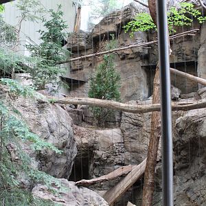 Canadian Lynx Enclosure, Canadian Maple Forest Hall - June 2016