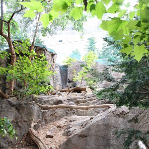 Canadian Lynx Enclosure, Canadian Maple Forest Hall - June 2016
