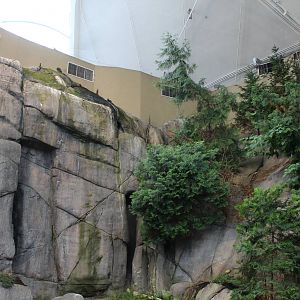 Gulf of St.Lawrence 'On the Surface' Hall - June 2016