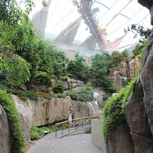 Gulf of St.Lawrence 'On the Surface' Hall - June 2016