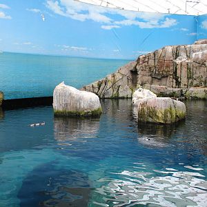 Gulf of St.Lawrence 'On the Surface' Hall - June 2016