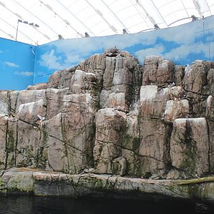 Gulf of St.Lawrence 'On the Surface' Hall - June 2016