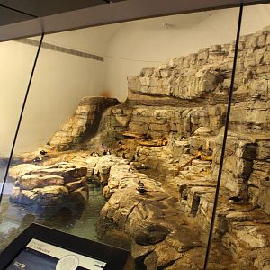 Sub-polar Hall, Labrador Coast Exhibit - June 2016