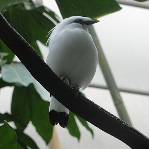 Central Park Zoo: July 2016