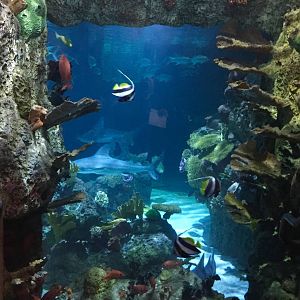 Aquarium