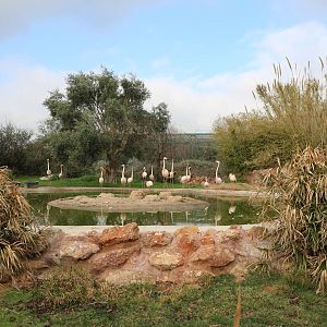 Flamingo enclosure, February 2016