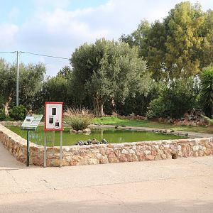 Turtle pool, February 2016