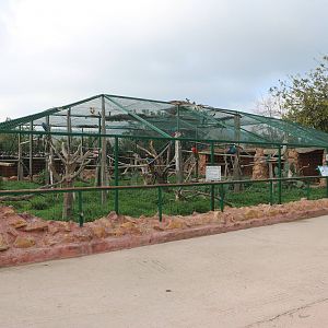 Macaw enclosure, February 2016