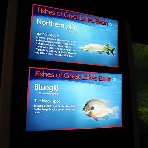 Signage Example - June 2016