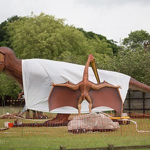 Dinosaur installation progress : Whipsnade : 01 Jul 2016