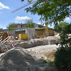 Elephant outdoors construction work