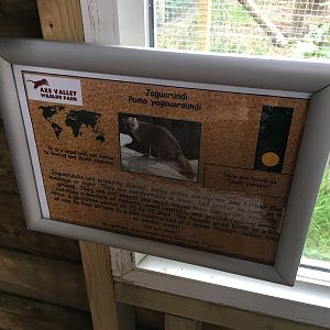 Jaguarundi signage 010516