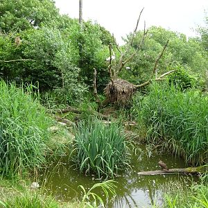 Walkthrough Aviary 090716