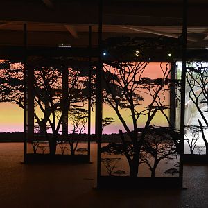 Wild Explorers inside 090716