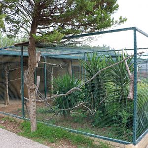 Parrot aviary, February 2016