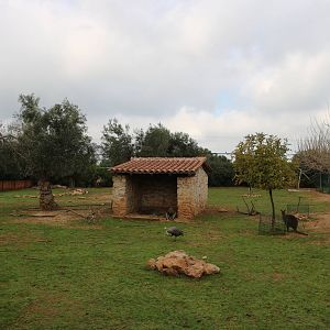 Australian paddock, February 2016