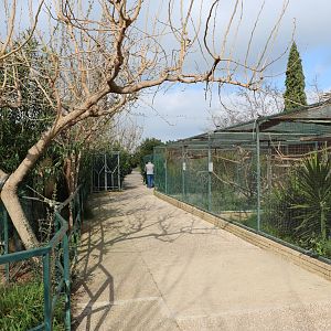 Parrot aviaries, February 2016