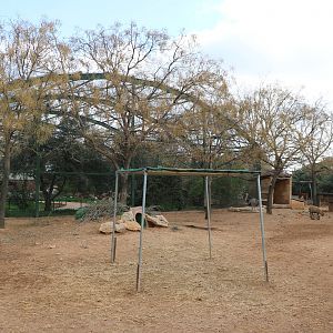 South American exhibit, February 2016