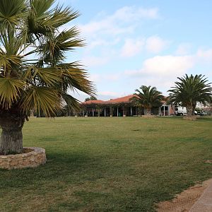 Gardens & cafe, February 2016