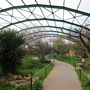 South America aviary, February 2016