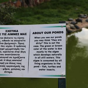 Pond sign, February 2016