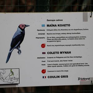 Coleto sign, February 2016