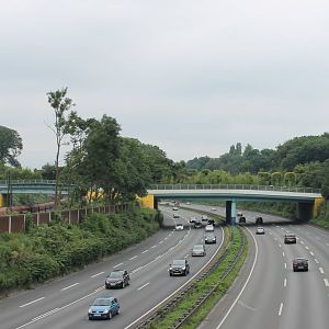 Highway through the zoo
