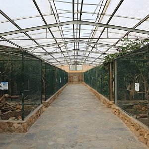 Tropical bird house, February 2016