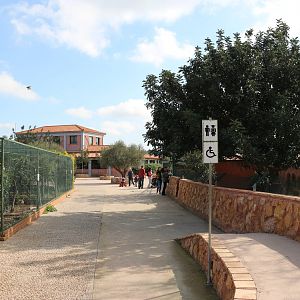 South American walk, February 2016