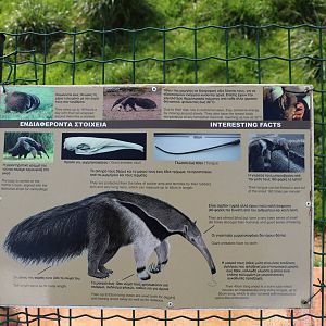 Giant anteater sign, February 2016