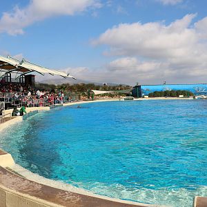 Dolphin show pool, February 2016