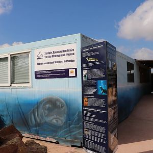 Monk seal rehabilitation block, February 2016