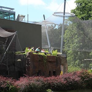 Chimpanzee House, July 2016