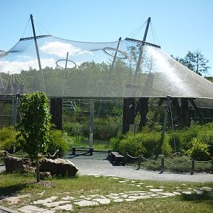 Chimpanzee House, July 2016