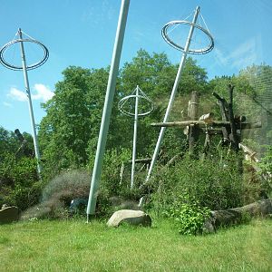 Chimpanzee House, July 2016