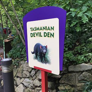 Tasmanian Devil Den
