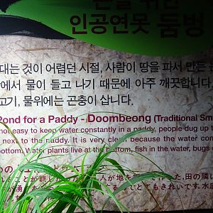 Artificial pond sign