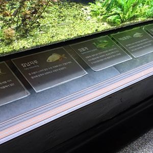 Artificial pond tank