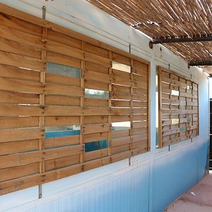 Mediterranean monk seal viewing windows, February 2016