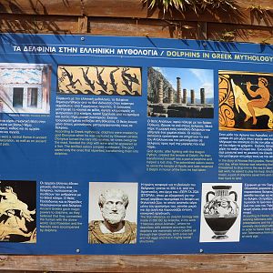 Sign: dolphins in Ancient Greece, February 2016