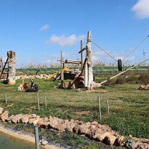 Part of the chimpanzee enclosure, February 2016