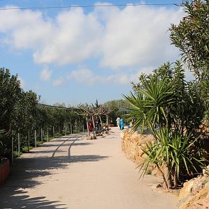 Arid zone path, February 2016