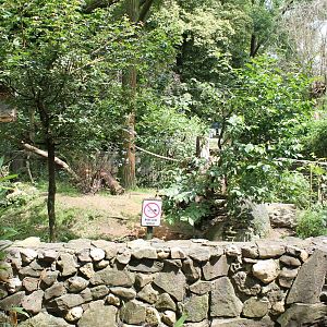 Enclosure Red panda