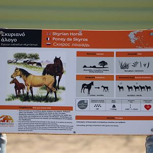 Skyrian horse sign, February 2016