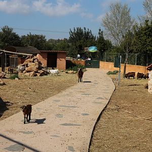 Children's farm, February 2016