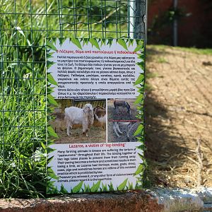 Sign about leg binding, February 2016